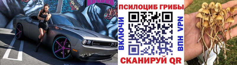 Галлюциногенные грибы GOLDEN TEACHER где найти Осинники